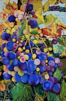 Covid Grapes