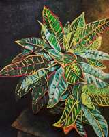 Croton-Lit