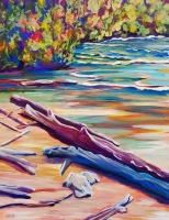 Driftwood